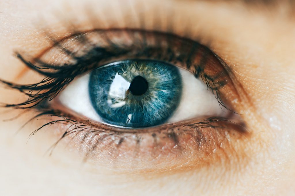 close up blue Eye